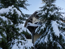 Pensiunea Vis Alpin Belis - accommodation in  Apuseni Mountains, Belis (28)