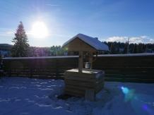 Pensiunea Vis Alpin Belis - accommodation in  Apuseni Mountains, Belis (29)