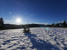 Pensiunea Vis Alpin Belis - alloggio in  Apuseni, Belis (31)