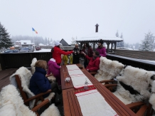 Pensiunea Vis Alpin Belis - alloggio in  Apuseni, Belis (40)