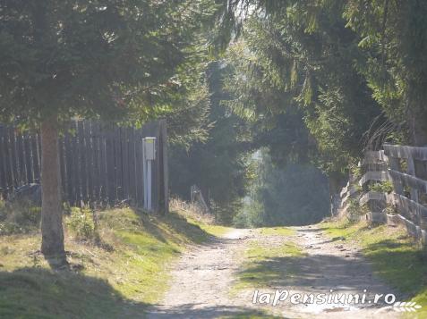 Pensiunea Vis Alpin Belis - cazare Apuseni, Belis (Activitati si imprejurimi)