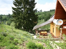 Pensiunea Clarina - accommodation in  Piatra Craiului (06)