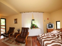 Pensiunea Clarina - accommodation in  Piatra Craiului (16)
