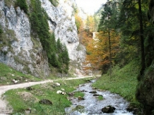 Pensiunea Clarina - alloggio in  Piatra Craiului (19)