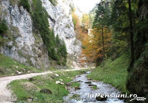 Pensiunea Clarina - alloggio in  Piatra Craiului (Attivit&agrave; e i dintorni)