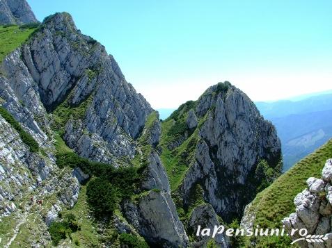 Pensiunea Clarina - accommodation in  Piatra Craiului (Surrounding)