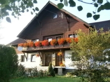 Pensiunea Veronica - accommodation in  Gura Humorului, Bucovina (02)