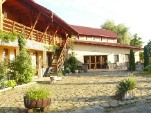 Rural accommodation at  Pensiunea Ara