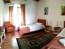 Pensiunea Ara - accommodation in  Apuseni Mountains (24)