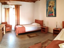 Pensiunea Ara - accommodation in  Apuseni Mountains (25)