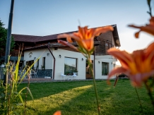 Pensiunea Ara - accommodation in  Apuseni Mountains (30)