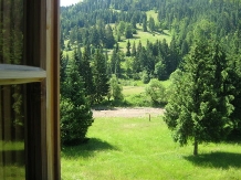 Pensiunea Dig's - accommodation in  Apuseni Mountains, Motilor Country, Arieseni (02)