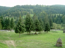 Pensiunea Dig's - accommodation in  Apuseni Mountains, Motilor Country, Arieseni (04)
