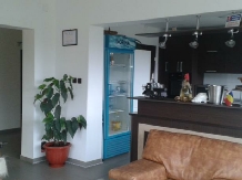 Vila Madudu - accommodation in  Slanic Prahova, Cheia (08)