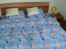Vila Madudu - accommodation in  Slanic Prahova, Cheia (14)