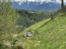 Valea cu Calea - accommodation in  Rucar - Bran, Moeciu (17)