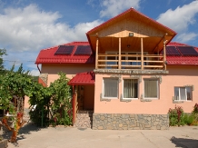 Casa Criss - accommodation in  Transylvania (02)