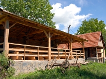 Casa Criss - alloggio in  Transilvania (09)