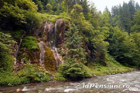 Pensiunea Cezar - cazare Rucar - Bran, Moeciu (Activitati si imprejurimi)