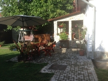 Casa cu tei - accommodation in  Hateg Country (10)