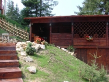 Pensiunea Allegria - accommodation in  Prahova Valley (04)