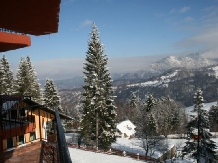 Pensiunea Allegria - accommodation in  Prahova Valley (41)