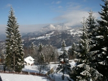 Pensiunea Allegria - alloggio in  Valle di Prahova (42)