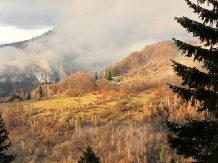 Pensiunea Allegria - alloggio in  Valle di Prahova (46)