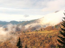 Pensiunea Allegria - alloggio in  Valle di Prahova (47)