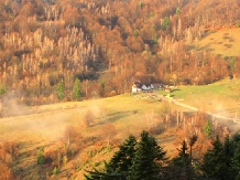 Pensiunea Allegria - alloggio in  Valle di Prahova (48)