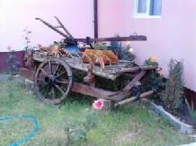Pensiunea Poalele Gutinului - accommodation in  Maramures Country (13)