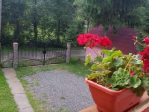 Cabana Cerbului - accommodation in  Maramures Country (03)