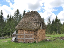 Cabana Ghetari - accommodation in  Apuseni Mountains, Motilor Country, Arieseni (06)