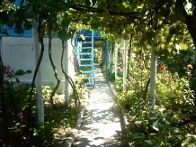 Rural accommodation at  Casa de vacanta ANA