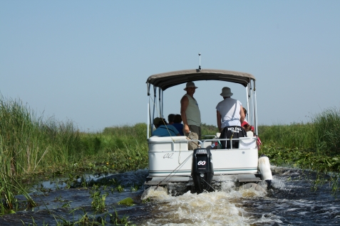 Casa de vacanta ANA - alloggio in  Delta del Danubio (Attivit&agrave; e i dintorni)