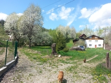 Casa de Vacanta LucianLape - accommodation in  Gura Humorului, Voronet, Bucovina (01)