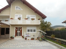 Casa Mara - accommodation in  Hateg Country (01)