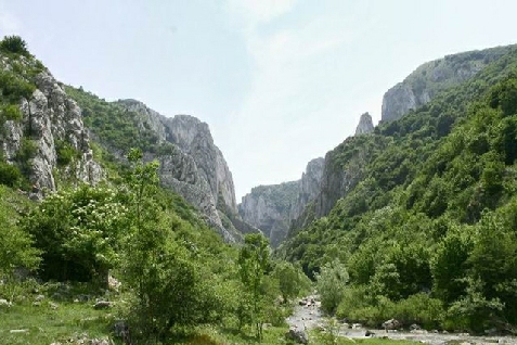 Casa Tudor - accommodation in Apuseni Mountains (Surrounding) Casa Tudor - accommodation in Apuseni Mountains (Surrounding)