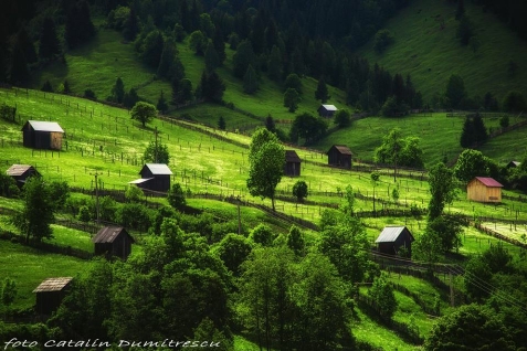 Casa Severin - alloggio in  Vatra Dornei, Bucovina (Attivit&agrave; e i dintorni)