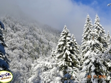 Vila Balea Transfagarasan - alloggio in  Fagaras e vicinanze, Transfagarasan (10)