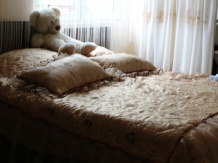 Pensiunea Ioasaf - accommodation in  Maramures Country (29)