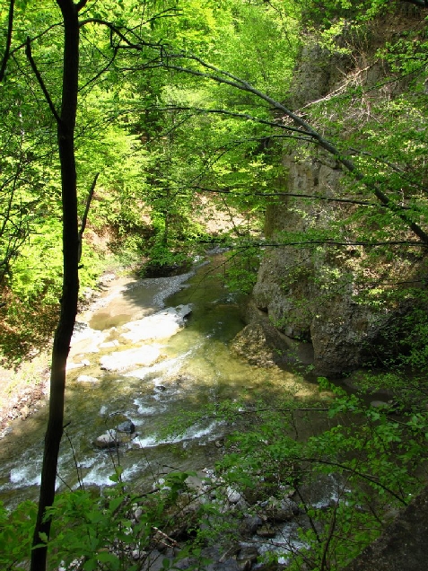 Complex Comanca - alloggio in  Valea Oltului (Attivit&agrave; e i dintorni)