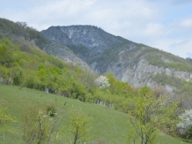 Pensiunea EVA - alloggio in  Nord Oltenia (56)