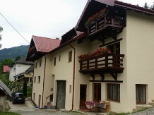 Pensiunea Dumitrita - accommodation in  Maramures Country (03)