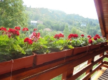 Pensiunea Dumitrita - accommodation in  Maramures Country (05)