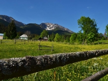 Pensiunea Dumitrita - alloggio in  Tara Maramuresului (20)