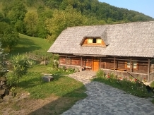 Rural accommodation at  Pensiunea Ioana