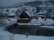 Pensiunea Ioana - accommodation in  Maramures Country (08)