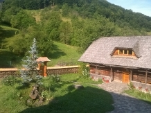 Pensiunea Ioana - accommodation in  Maramures Country (21)