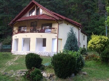 Pensiunea Marin - accommodation in  Sibiu Surroundings (01)